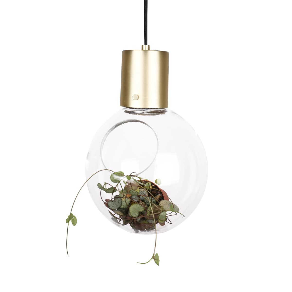 Mini Hole taklampe, klar-messing