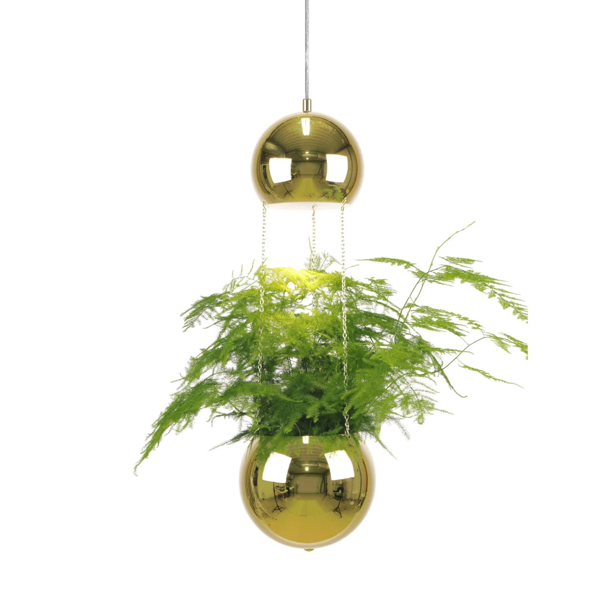 Planter taklampe og planteoppheng, messing