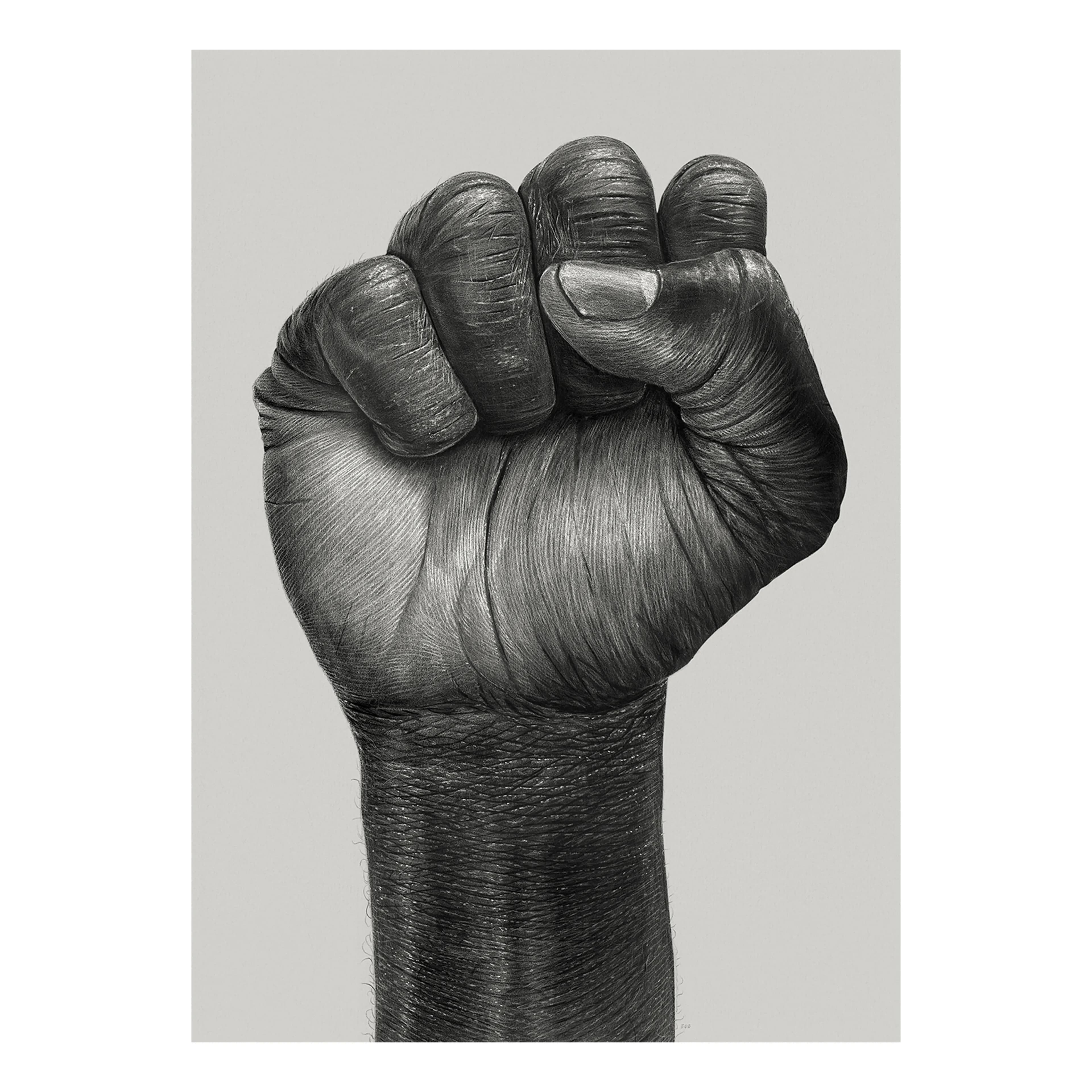 Raised Fist poster, 30x40 cm